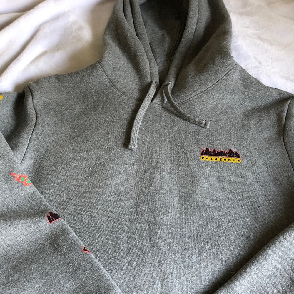 Patagonia Gray Hoodie with Small Multicolor Logo